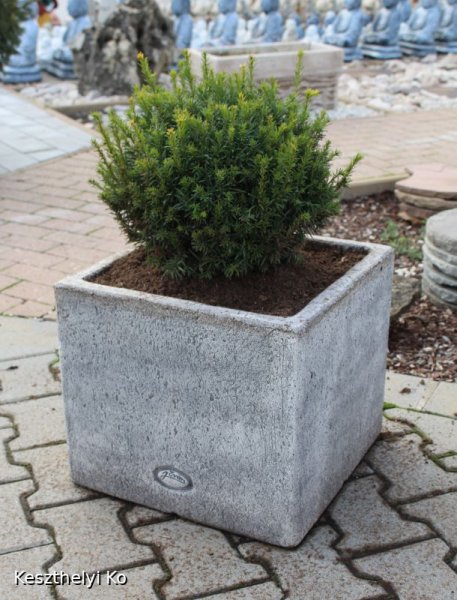 kö virágtartók,beton virágtartók,kaspó,balkonláda,virágláda,virágtartó,kaspó
